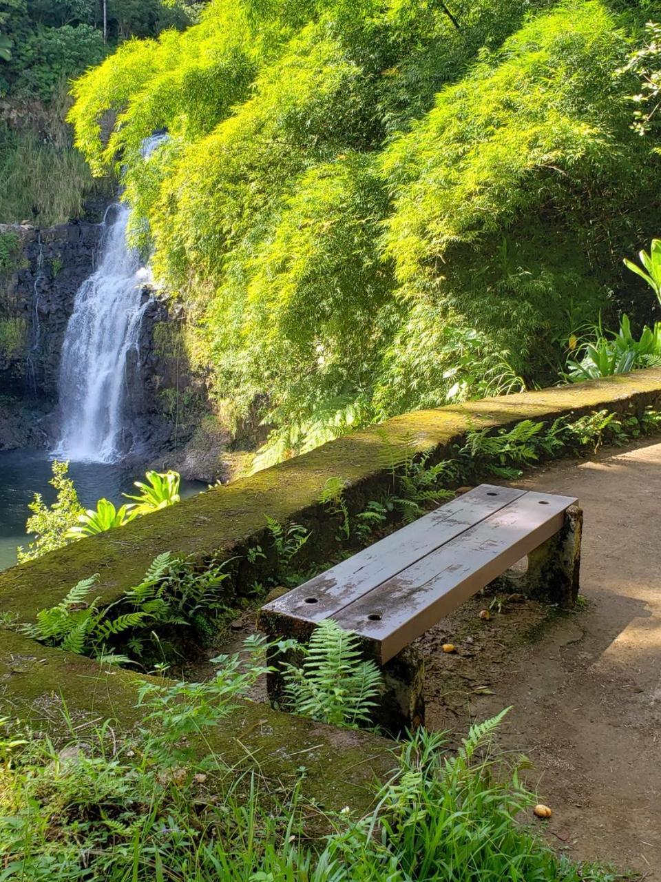 The Inn At Kulaniapia Falls Hilo Eksteriør billede