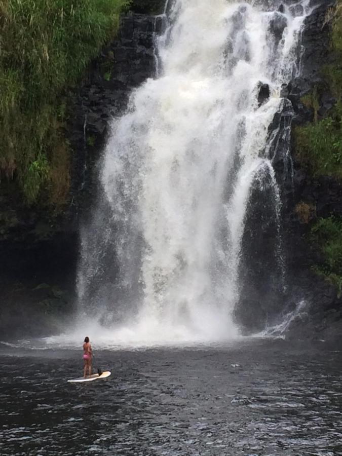 The Inn At Kulaniapia Falls Hilo Eksteriør billede